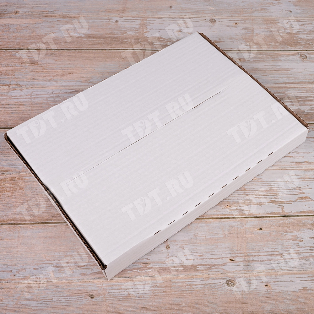 Книжный лоток №4, 310*225*30 мм