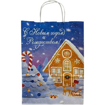 Подарочный пакет «С Новым годом и Рождеством!», 100 г/м², 22*11*31 см