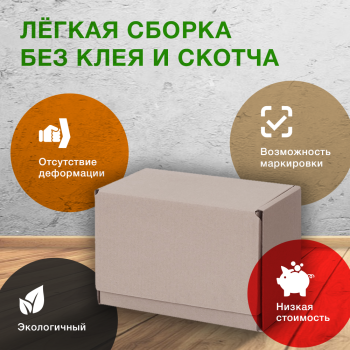 Почтовый короб «Бизнес», МК, тип «Г», 265*165*190 мм, T-21 В