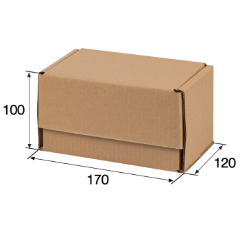 Почтовый короб «Бизнес», МК, тип «Ж», 170*120*100 мм, T-21 В