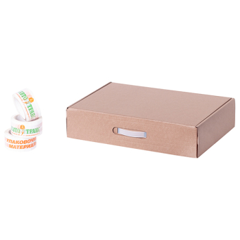 Бизнес Бокс А3, 435*310*100 мм