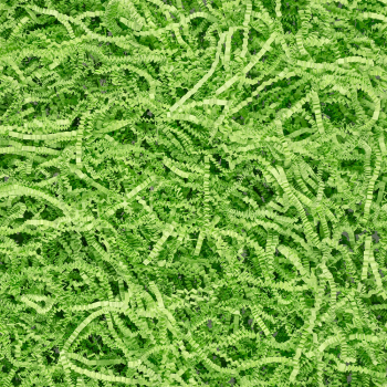 Бумажный наполнитель «Зелёное яблоко», цветная бумага, светло-зелёный, 1 кг